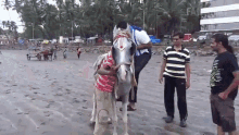 getting on horse failarmy fall off horse lose balance horse gone wild