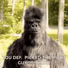 Gorilla Thumbs Up GIF