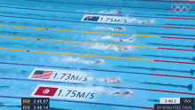 hafnaoui mcloughlin smith olympics 400m freestyle swim