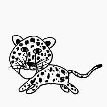 likeable leopard veefriends cool friendly nice