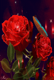 Roses Roses Rouges GIF - Roses Roses Rouges Red Roses GIFs