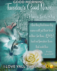 a good morning tuesday 's good news card with a hummingbird and a rose