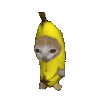 a cat wearing a banana costume is standing on a white background