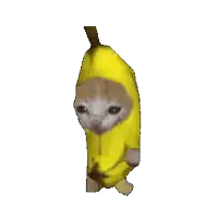 a cat wearing a banana costume is standing on a white background