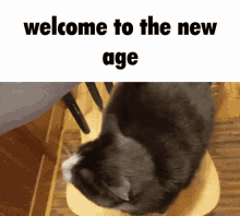 Welcome To GIF - Welcome To The New Age GIFs
