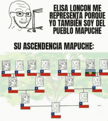 Ascendencia Mapuche GIF - Ascendencia Mapuche GIFs