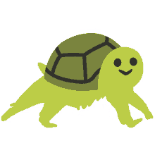 turtlecoin turtle
