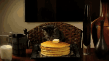 Cat Eating Pancakes GIF - Cat Pancakes Breakfast GIFs