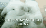 Rabbit Bunny GIF - Rabbit Bunny You Are My Snuggle Bunny GIFs