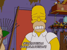 Homer Simpson GIF - Homer Simpson Spider GIFs