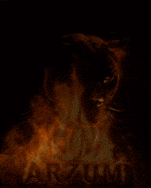 a woman wearing a mask is surrounded by fire and the word arzum is visible