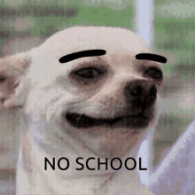 No School No Classes GIF