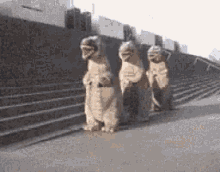 GIF