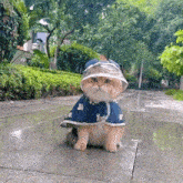 a cat wearing a raincoat and a hat is sitting on a sidewalk in the rain .
