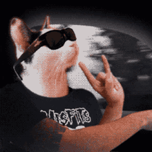 Rock And Roll Rock On GIF - Rock And Roll Rock On Cat GIFs