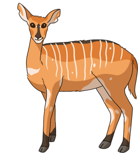 Antelope Sitatunga Sticker - Antelope Sitatunga Marshbuck Stickers