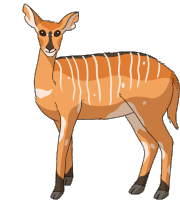 Antelope Sitatunga Sticker - Antelope Sitatunga Marshbuck Stickers