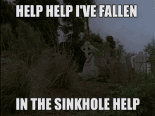 Help Sinkhole GIF - Help Sinkhole Help Help GIFs