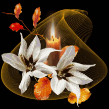 White Flower GIF - White Flower Candle GIFs