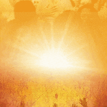 a poster for the ntc solid ministry with a dove and a flame