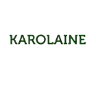 a green and white logo for karolaine financira