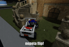 a picture of a roller coaster that says nepeta flip on it