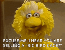 Big Bird Sesame Street GIF