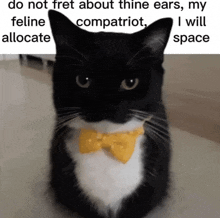Cat Thine Ears GIF