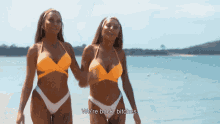 Twins Swimsuit GIF - Twins Swimsuit Hot GIFs