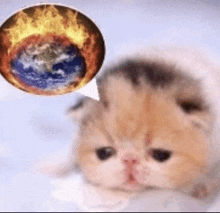 a cat is laying down with a speech bubble above its head with a picture of the earth on fire .