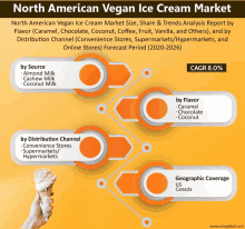 North American Vegan Ice Cream Market GIF - North American Vegan Ice Cream Market GIFs