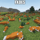 a bunch of foxes are laying in the grass with the word fxoes above them