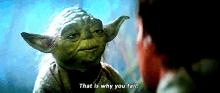 Star Wars Yoda GIF - Star Wars Yoda That Is Why You Fail GIFs