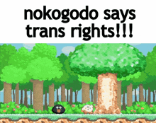 a pixel art of a forest with the words nokogode says trans rights !