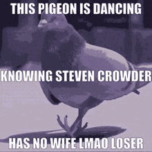 Steven Crowder Louder With Crowder GIF - Steven Crowder Steven Crowder GIFs