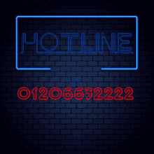 torino hotline neon sign neon