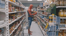 Spider-man - The Terminal GIF