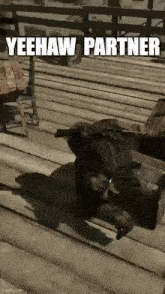 Red Dead Redemption John Marston GIF - Red Dead Redemption John Marston Griddy GIFs