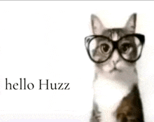 a cat wearing glasses says hello huzz in the corner