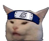 a cat wearing a headband with the letter g on it .