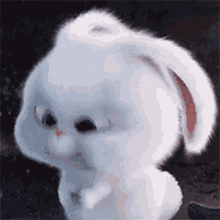 %E5%85%94%E5%AD%90 secret life of pets snowball rabbit bunny