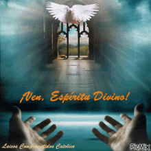 ven espiritu divino come divine spirit bird flying come here