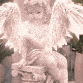 Starchy Angel GIF