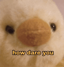 a stuffed animal with the words " how dare you " written on it