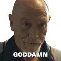 a bald man with a beard has the words goddamn written on his face