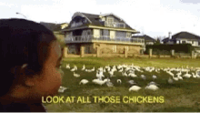 Chickens Look GIF - Chickens Look Kid GIFs