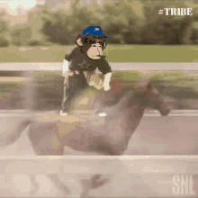 tribe fast speed horse