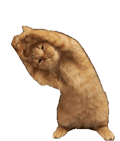 Cat Txuuuuu Sticker - Cat Txuuuuu Stretching Stickers