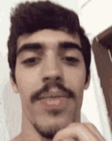 a young man with a beard and mustache is making a funny face .