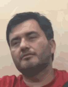 a man with a beard is wearing a red shirt .
